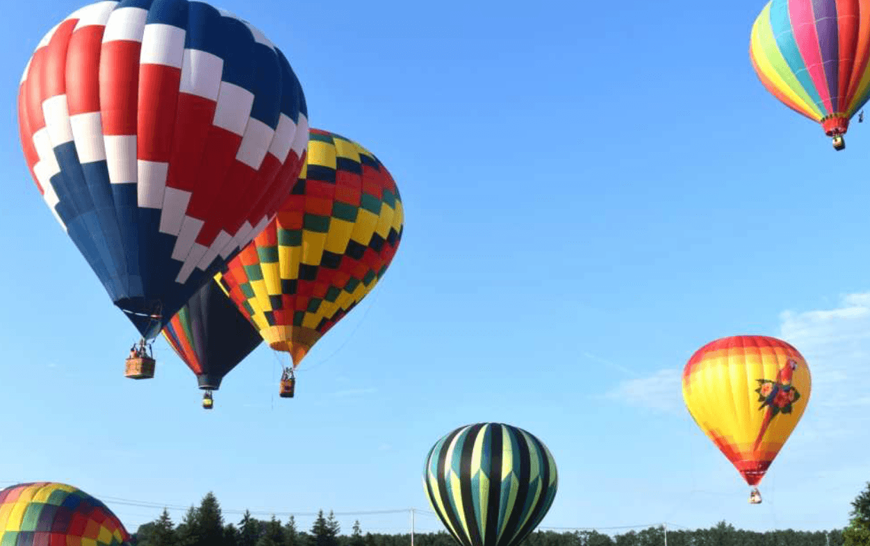 Colorful hot air balloons of various patterns float in a clear blue sky above a green landscape with trees, creating a vibrant and festive scene reminiscent of the Dutchess County Fair.